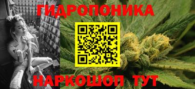 меф Гатчина
