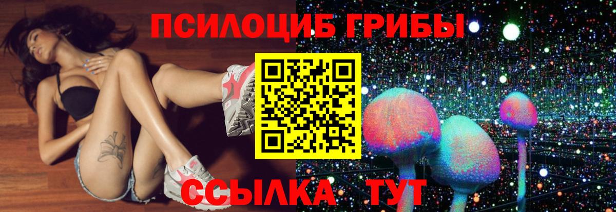 Псилоцибиновые грибы MAGIC MUSHROOMS  Псилоцибиновые грибы MAGIC MUSHROOMS  Вход с VPN  Дедовск 